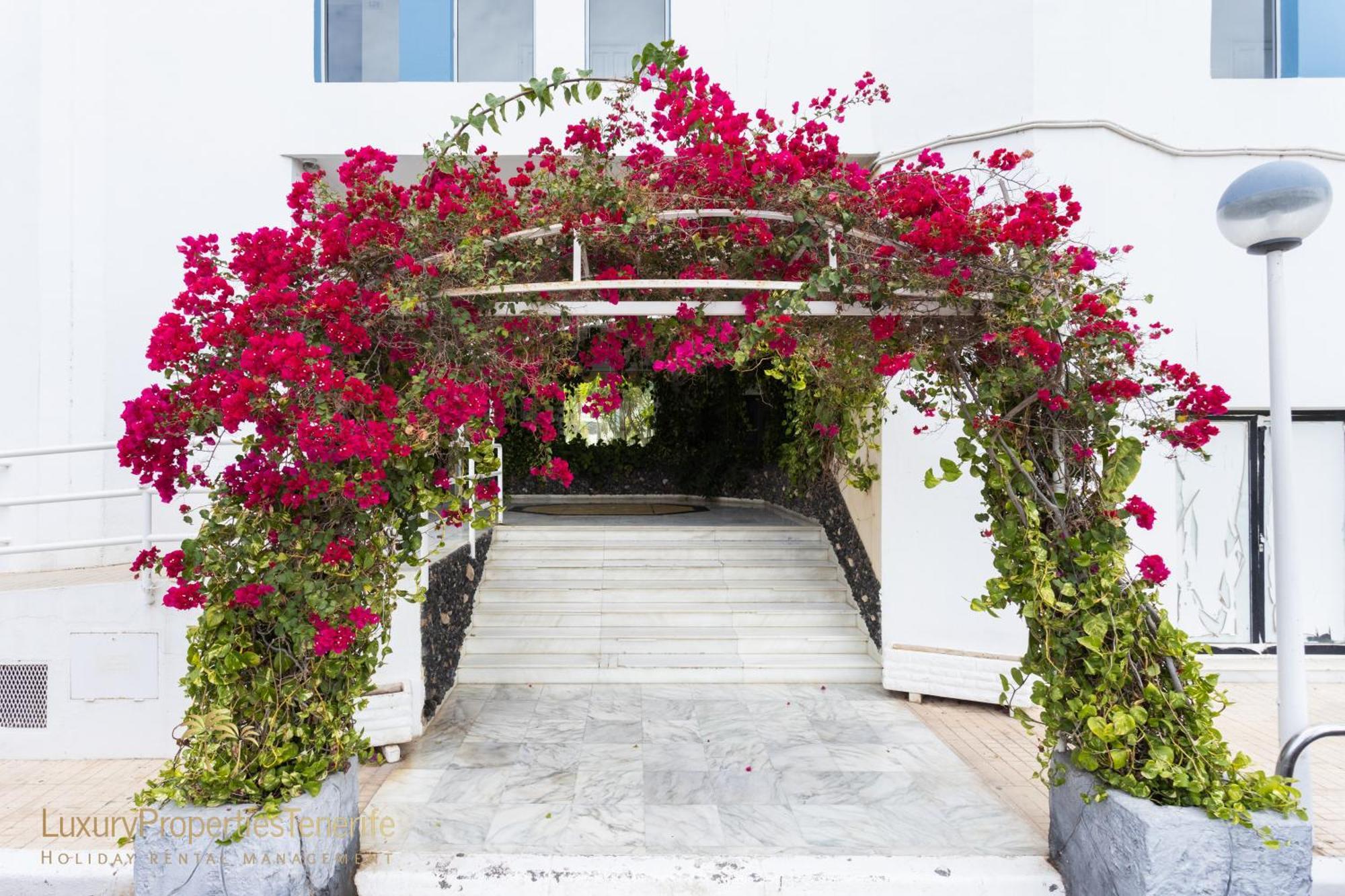 Estudio Caridad San Miguel de Abona Ngoại thất bức ảnh